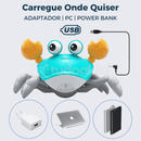 Sr. Caranguejo Fujão