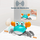 Sr. Caranguejo Fujão